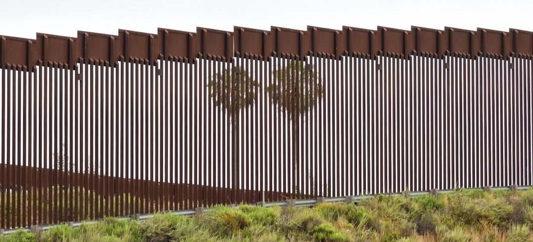 Illegal Immigrants